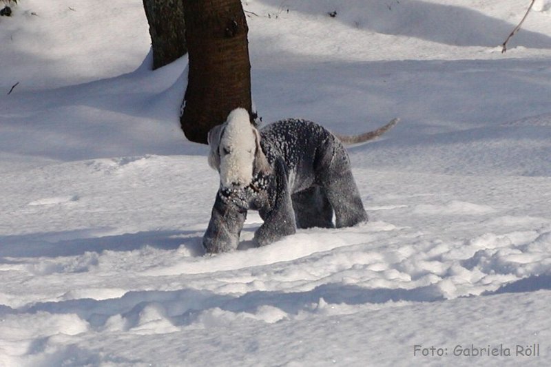 Quincy 2009-01-05 (4).JPG